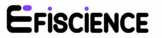 Efiscience
